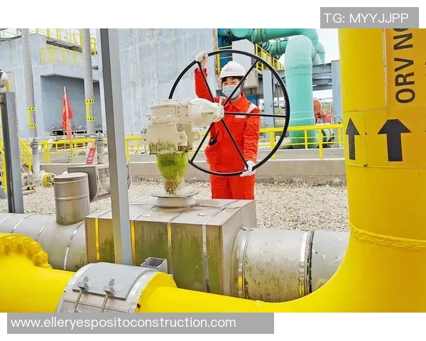 LNG快攻策略分析：成功与失败的关键因素探讨