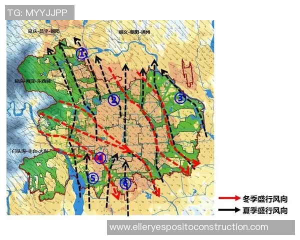 北京乒乓球队灵活性分析与其他城市队伍的对比研究