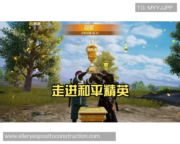 对话刘秀英:探索和平精英背后的成长与挑战之路