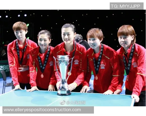 西安羽毛球队总决赛精彩表现团队协作成就辉煌胜利