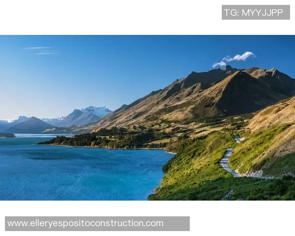 印度与新西兰热身赛精彩回顾球队表现与战术分析全景呈现