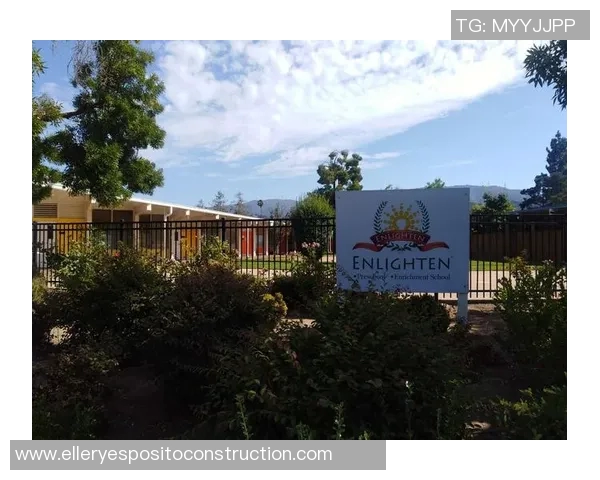 2019年新英格兰对阵圣何塞精彩回顾与赛况分析